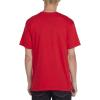 Volcom Mens Crisp Stone SST(Red)