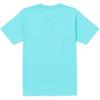 Volcom Mens Euro Logo Short Sleeve Tee(Crete Blue)