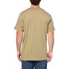 Volcom Mens Solid Short Sleeve Tee(Thyme Green)