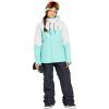 Volcom Women’s Frochickie Insulated Lined Snow Pant(Black S5)