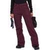 Volcom Women’s Frochickie Insulated Lined Snow Pant(Merlot S2)
