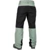 Volcom Womens Stone Mica 20k Snowboard Ski Pant(Lichen Green)