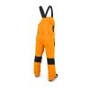 Volcom mens Roan Bib Overall Snowboard Pant(Gold)