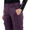 Volcom womens Bridger Insulated Snowboard Ski Snowpant(Blackberry S11)