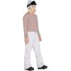 Volcom womens Hallen Modern Fit Snowbaord Pant(Amethyst Smoke S3)