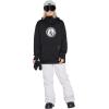 Volcom womens Hallen Modern Fit Snowbaord Pant(Amethyst Smoke S3)