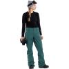 Volcom womens Hallen Modern Fit Snowbaord Pant(Balsam S4)