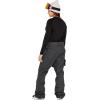 Volcom womens Hallen Modern Fit Snowbaord Pant(Black)