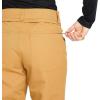 Volcom womens Hallen Modern Fit Snowbaord Pant(Caramel S3)