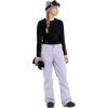 Volcom womens Hallen Modern Fit Snowbaord Pant(Lilac Ash S4)