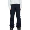 Volcom womens Species Stretch Snowboard Ski Pant(Black S3)