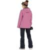 Volcom womens Stoney Shadow Insulated Snowboard Ski Winter Snow Jacket(Blurred Violet)