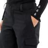 Volcom womens Wildling Snowboard Ski Pant(Black S4)