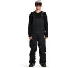 Volcom mens Roan Bib Overall Snowboard Pant(Black)