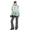 Volcom womens Species Stretch Snowboard Ski Pant(Eucalyptus S4)
