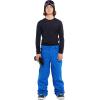 Volcom mens 5-pocket Snowboard Pant(Electric Blue S4)