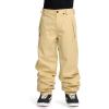 Volcom mens Arthur Longo 20k Baggy Fit Snowboard Ski Pant(Fern)