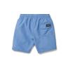 Volcom Boys Lido Solid Surf Swim Trunk(Blue Bird)