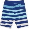 Volcom Boys Mod Tech Boardshorts (Big Boys & Little Sizes)(Blueprint)