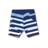 Volcom Boys Mod Tech Boardshorts (Big Boys & Little Sizes)(Blueprint)