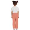 Volcom Girls Lived in Lounge Fleece Sweatpants(Light Mauve)