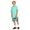 Volcom Boys Mod Tech Boardshorts(Poison Green)