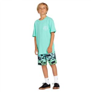 Volcom Boys Mod Tech Boardshorts(Poison Green)