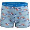 Volcom Boys Boxer Briefs Performance Underwear for Boys(Blue/Blue/Grey/Green)
