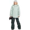 Volcom Boys’ Youth Barkley Bib Overall Snowboard Pant(Scarab S5)