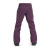 Volcom Girl’s Frochickidee Insulated Snowboard Pant(Blackberry S4)