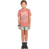Volcom Girls’ Last Party Short Sleeve Tee(Mauve)
